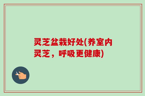灵芝盆栽好处(养室内灵芝，呼吸更健康)-第1张图片-卓岳灵芝孢子粉