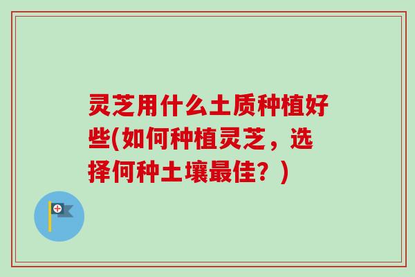 灵芝用什么土质种植好些(如何种植灵芝，选择何种土壤最佳？)-第1张图片-卓越灵芝孢子粉