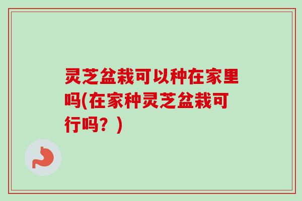 灵芝盆栽可以种在家里吗(在家种灵芝盆栽可行吗？)-第1张图片-卓越灵芝孢子粉