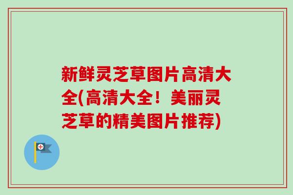 新鲜灵芝草图片高清大全(高清大全！美丽灵芝草的精美图片推荐)-第1张图片-卓越灵芝孢子粉