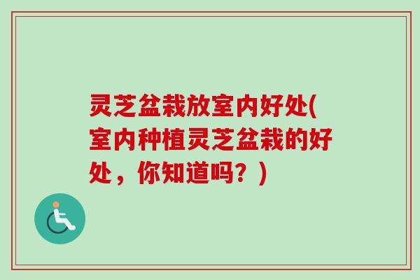灵芝盆栽放室内好处(室内种植灵芝盆栽的好处,你知道吗?)-第1张图片-卓越灵芝孢子粉 灵芝盆栽放室内好处(室内种植灵芝盆栽的好处,你知道吗?)-第1张图片-卓越灵芝孢子粉
