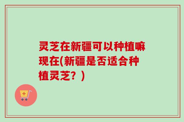 灵芝在新疆可以种植嘛现在(新疆是否适合种植灵芝?)-第1张图片-卓越灵芝孢子粉 灵芝在新疆可以种植嘛现在(新疆是否适合种植灵芝?)-第1张图片-卓越灵芝孢子粉