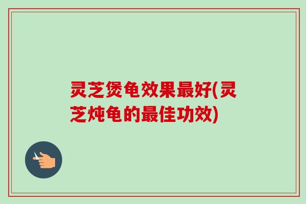 灵芝煲龟效果最好(灵芝炖龟的最佳功效)-第1张图片-卓越灵芝孢子粉