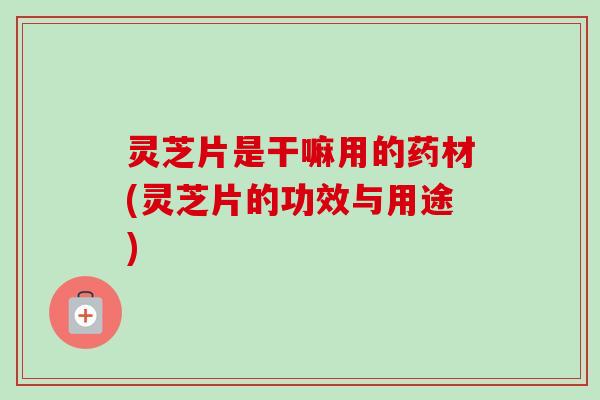 灵芝片是干嘛用的药材(灵芝片的功效与用途)-第1张图片-卓越灵芝孢子粉 灵芝片是干嘛用的药材(灵芝片的功效与用途)-第1张图片-卓越灵芝孢子粉
