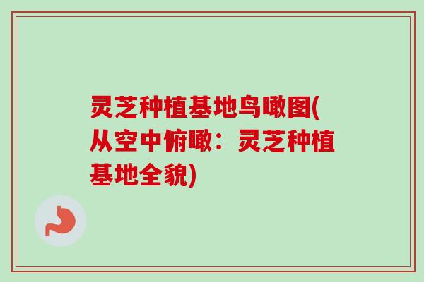 灵芝种植基地鸟瞰图(从空中俯瞰:灵芝种植基地全貌)-第1张图片-卓越灵芝孢子粉 灵芝种植基地鸟瞰图(从空中俯瞰:灵芝种植基地全貌)-第1张图片-卓越灵芝孢子粉