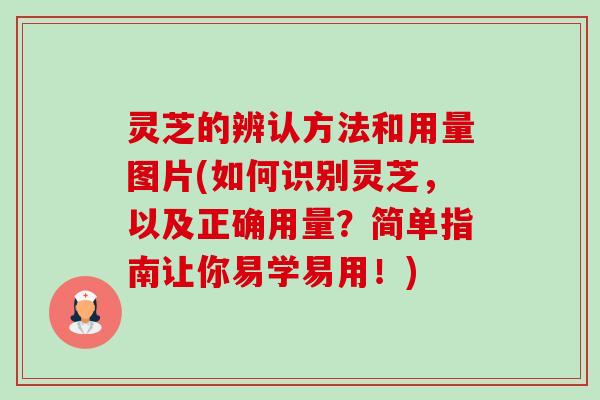 灵芝的辨认方法和用量图片(如何识别灵芝,以及正确用量?简单指南让你易学易用!)-第1张图片-卓越灵芝孢子粉 灵芝的辨认方法和用量图片(如何识别灵芝,以及正确用量?简单指南让你易学易用!)-第1张图片-卓越灵芝孢子粉