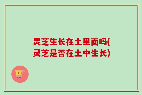 灵芝生长在土里面吗(灵芝是否在土中生长)-第1张图片-卓越灵芝孢子粉 灵芝生长在土里面吗(灵芝是否在土中生长)-第1张图片-卓越灵芝孢子粉