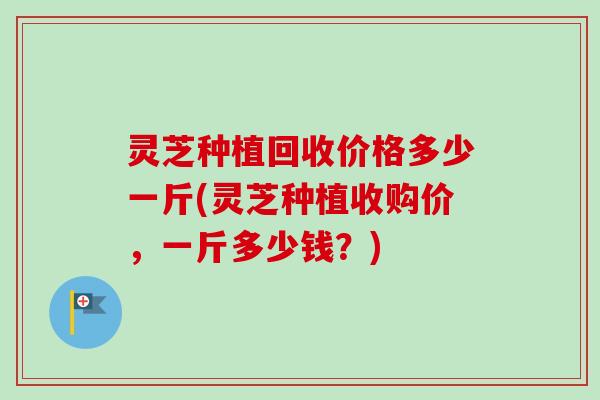 灵芝种植回收价格多少一斤(灵芝种植收购价，一斤多少钱？)-第1张图片-卓越灵芝孢子粉