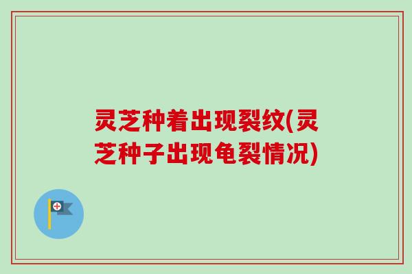 灵芝种着出现裂纹(灵芝种子出现龟裂情况)-第1张图片-卓越灵芝孢子粉 灵芝种着出现裂纹(灵芝种子出现龟裂情况)-第1张图片-卓越灵芝孢子粉
