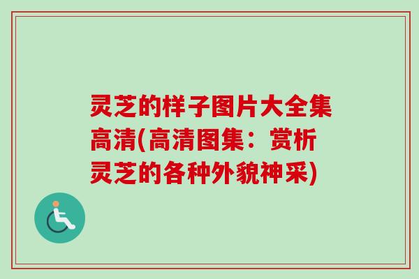 灵芝的样子图片大全集高清(高清图集:赏析灵芝的各种外貌神采)-第1张图片-卓越灵芝孢子粉 灵芝的样子图片大全集高清(高清图集:赏析灵芝的各种外貌神采)-第1张图片-卓越灵芝孢子粉