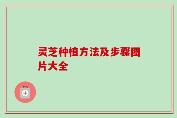 灵芝种植方法及步骤图片大全-第1张图片-卓越灵芝孢子粉