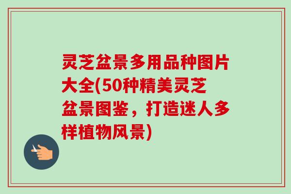 灵芝盆景多用品种图片大全(50种精美灵芝盆景图鉴,打造迷人多样植物风景)-第1张图片-卓越灵芝孢子粉 灵芝盆景多用品种图片大全(50种精美灵芝盆景图鉴,打造迷人多样植物风景)-第1张图片-卓越灵芝孢子粉