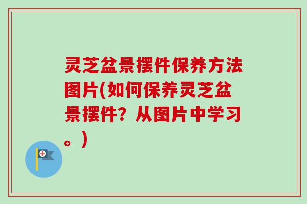 灵芝盆景摆件保养方法图片(如何保养灵芝盆景摆件？从图片中学习。)-第1张图片-卓越灵芝孢子粉