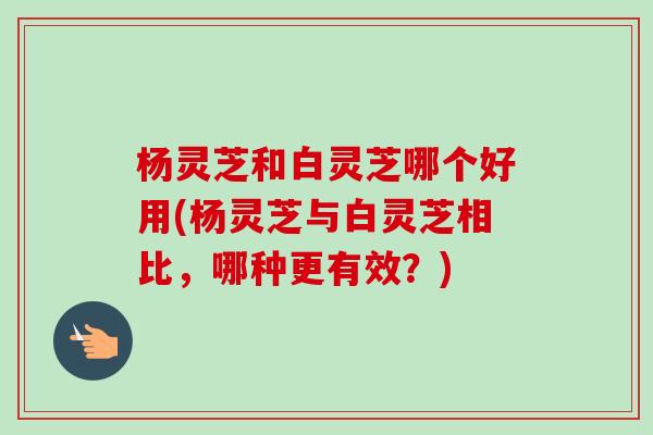 杨灵芝和白灵芝哪个好用(杨灵芝与白灵芝相比,哪种更有效?)-第1张图片-卓越灵芝孢子粉 杨灵芝和白灵芝哪个好用(杨灵芝与白灵芝相比,哪种更有效?)-第1张图片-卓越灵芝孢子粉