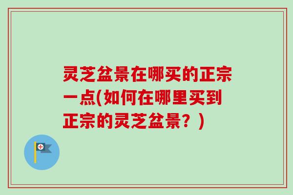 灵芝盆景在哪买的正宗一点(如何在哪里买到正宗的灵芝盆景?)-第1张图片-卓越灵芝孢子粉 灵芝盆景在哪买的正宗一点(如何在哪里买到正宗的灵芝盆景?)-第1张图片-卓越灵芝孢子粉