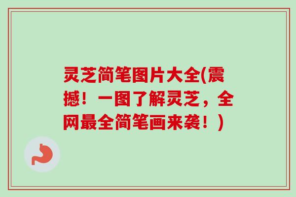 灵芝简笔图片大全(震撼!一图了解灵芝,全网最全简笔画来袭!)-第1张图片-卓越灵芝孢子粉 灵芝简笔图片大全(震撼!一图了解灵芝,全网最全简笔画来袭!)-第1张图片-卓越灵芝孢子粉