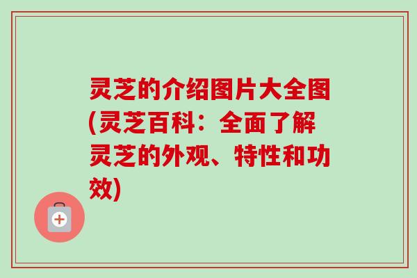 灵芝的介绍图片大全图(灵芝百科:全面了解灵芝的外观、特性和功效)-第1张图片-卓越灵芝孢子粉 灵芝的介绍图片大全图(灵芝百科:全面了解灵芝的外观、特性和功效)-第1张图片-卓越灵芝孢子粉