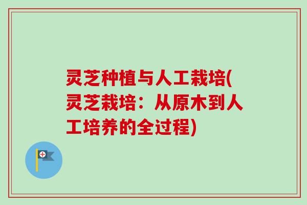 灵芝种植与人工栽培(灵芝栽培:从原木到人工培养的全过程)-第1张图片-卓越灵芝孢子粉 灵芝种植与人工栽培(灵芝栽培:从原木到人工培养的全过程)-第1张图片-卓越灵芝孢子粉