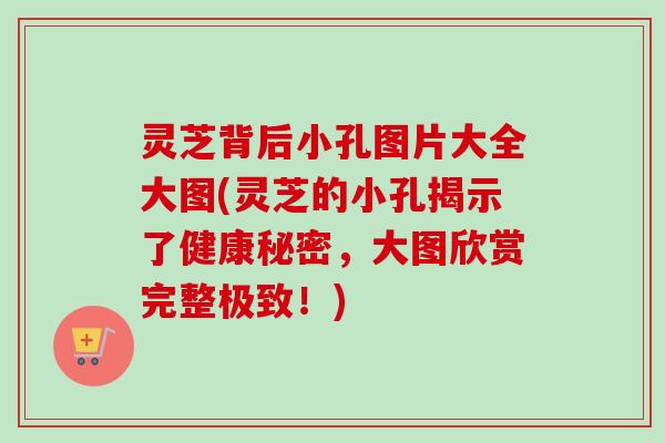 灵芝背后小孔图片大全大图(灵芝的小孔揭示了健康秘密,大图欣赏完整极致!)-第1张图片-卓越灵芝孢子粉 灵芝背后小孔图片大全大图(灵芝的小孔揭示了健康秘密,大图欣赏完整极致!)-第1张图片-卓越灵芝孢子粉