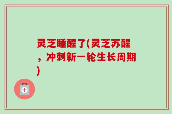 灵芝睡醒了(灵芝苏醒,冲刺新一轮生长周期)-第1张图片-卓越灵芝孢子粉 灵芝睡醒了(灵芝苏醒,冲刺新一轮生长周期)-第1张图片-卓越灵芝孢子粉