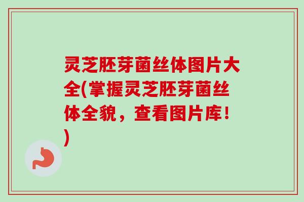灵芝胚芽菌丝体图片大全(掌握灵芝胚芽菌丝体全貌,查看图片库!)-第1张图片-卓越灵芝孢子粉 灵芝胚芽菌丝体图片大全(掌握灵芝胚芽菌丝体全貌,查看图片库!)-第1张图片-卓越灵芝孢子粉