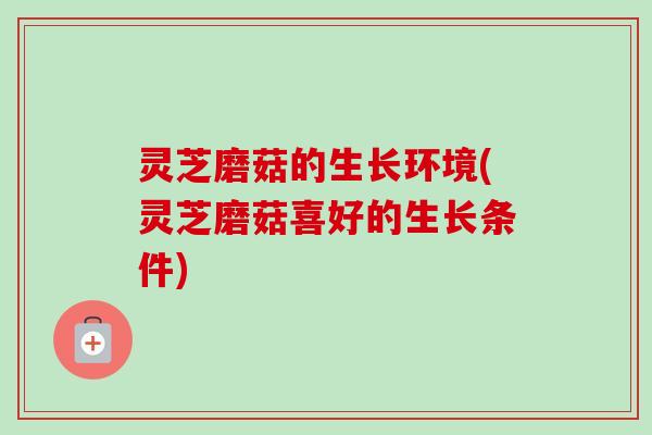 灵芝磨菇的生长环境(灵芝磨菇喜好的生长条件)-第1张图片-卓越灵芝孢子粉 灵芝磨菇的生长环境(灵芝磨菇喜好的生长条件)-第1张图片-卓越灵芝孢子粉