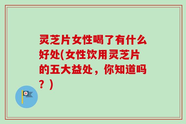 灵芝片女性喝了有什么好处(女性饮用灵芝片的五大益处,你知道吗?)-第1张图片-卓越灵芝孢子粉 灵芝片女性喝了有什么好处(女性饮用灵芝片的五大益处,你知道吗?)-第1张图片-卓越灵芝孢子粉