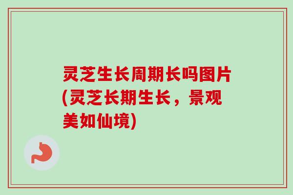 灵芝生长周期长吗图片(灵芝长期生长,景观美如仙境)-第1张图片-卓越灵芝孢子粉 灵芝生长周期长吗图片(灵芝长期生长,景观美如仙境)-第1张图片-卓越灵芝孢子粉