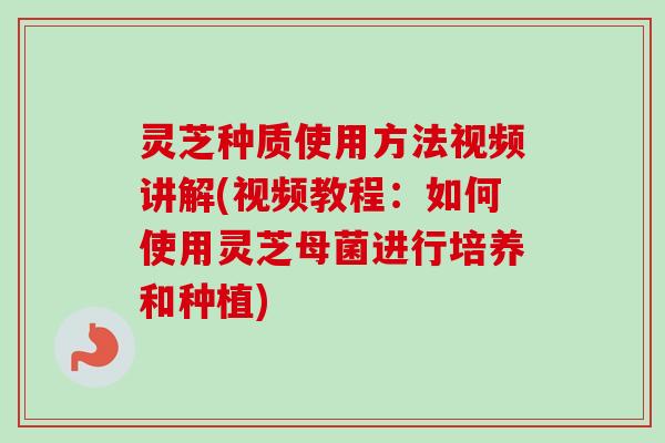 灵芝种质使用方法视频讲解(视频教程:如何使用灵芝母菌进行培养和种植)-第1张图片-卓越灵芝孢子粉 灵芝种质使用方法视频讲解(视频教程:如何使用灵芝母菌进行培养和种植)-第1张图片-卓越灵芝孢子粉