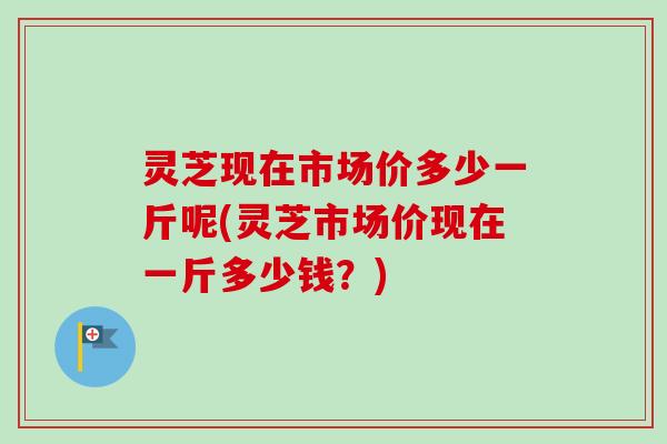 灵芝现在市场价多少一斤呢(灵芝市场价现在一斤多少钱?)-第1张图片-卓越灵芝孢子粉 灵芝现在市场价多少一斤呢(灵芝市场价现在一斤多少钱?)-第1张图片-卓越灵芝孢子粉