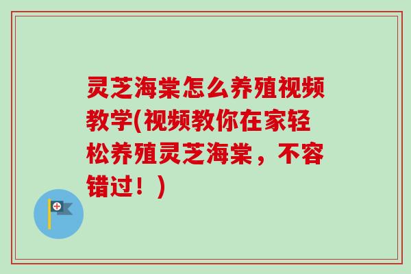 灵芝海棠怎么养殖视频教学(视频教你在家轻松养殖灵芝海棠，不容错过！)-第1张图片-卓越灵芝孢子粉