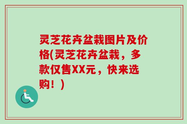 灵芝花卉盆栽图片及价格(灵芝花卉盆栽,多款仅售XX元,快来选购!)-第1张图片-卓越灵芝孢子粉 灵芝花卉盆栽图片及价格(灵芝花卉盆栽,多款仅售XX元,快来选购!)-第1张图片-卓越灵芝孢子粉