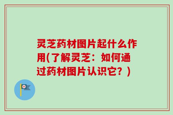 灵芝药材图片起什么作用(了解灵芝:如何通过药材图片认识它?)-第1张图片-卓越灵芝孢子粉 灵芝药材图片起什么作用(了解灵芝:如何通过药材图片认识它?)-第1张图片-卓越灵芝孢子粉