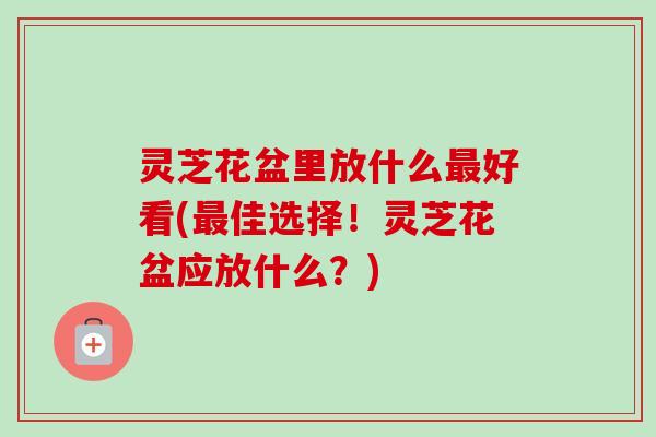 灵芝花盆里放什么最好看(最佳选择!灵芝花盆应放什么?)-第1张图片-卓越灵芝孢子粉 灵芝花盆里放什么最好看(最佳选择!灵芝花盆应放什么?)-第1张图片-卓越灵芝孢子粉