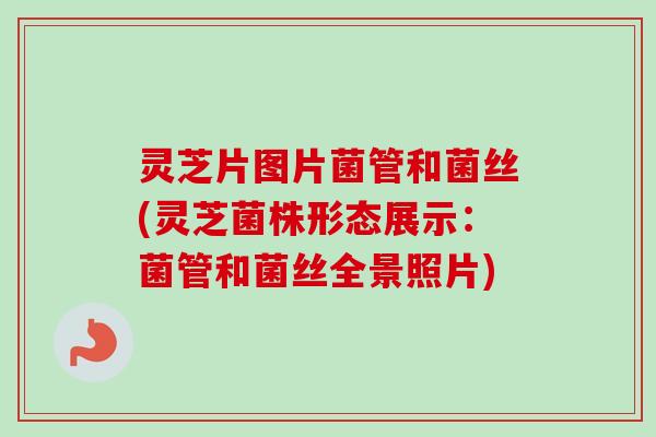 灵芝片图片菌管和菌丝(灵芝菌株形态展示:菌管和菌丝全景照片)-第1张图片-卓越灵芝孢子粉 灵芝片图片菌管和菌丝(灵芝菌株形态展示:菌管和菌丝全景照片)-第1张图片-卓越灵芝孢子粉