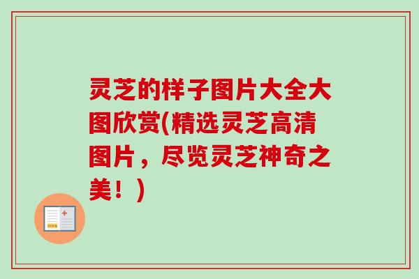 灵芝的样子图片大全大图欣赏(精选灵芝高清图片,尽览灵芝神奇之美!)-第1张图片-卓越灵芝孢子粉 灵芝的样子图片大全大图欣赏(精选灵芝高清图片,尽览灵芝神奇之美!)-第1张图片-卓越灵芝孢子粉