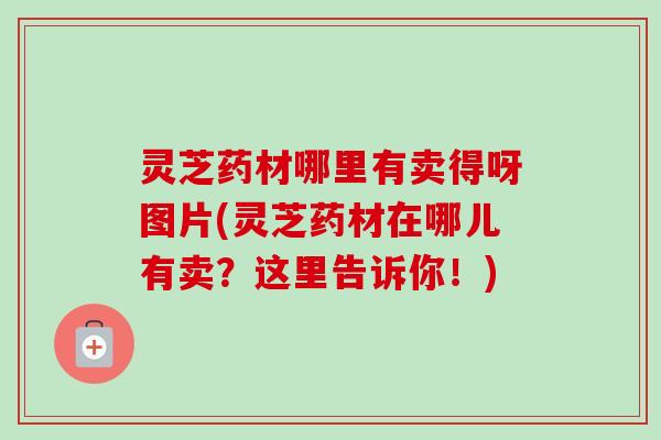 灵芝药材哪里有卖得呀图片(灵芝药材在哪儿有卖?这里告诉你!)-第1张图片-卓越灵芝孢子粉 灵芝药材哪里有卖得呀图片(灵芝药材在哪儿有卖?这里告诉你!)-第1张图片-卓越灵芝孢子粉
