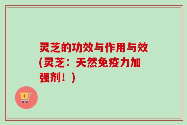 灵芝的功效与作用与效(灵芝:天然免疫力加强剂!)-第1张图片-卓越灵芝孢子粉 灵芝的功效与作用与效(灵芝:天然免疫力加强剂!)-第1张图片-卓越灵芝孢子粉