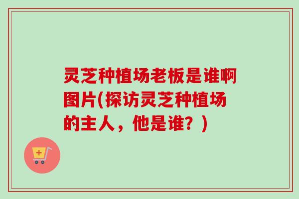 灵芝种植场老板是谁啊图片(探访灵芝种植场的主人,他是谁?)-第1张图片-卓越灵芝孢子粉 灵芝种植场老板是谁啊图片(探访灵芝种植场的主人,他是谁?)-第1张图片-卓越灵芝孢子粉
