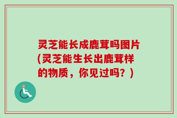 灵芝能长成鹿茸吗图片(灵芝能生长出鹿茸样的物质，你见过吗？)-第1张图片-卓越灵芝孢子粉