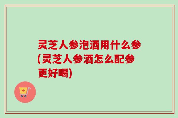 灵芝人参泡酒用什么参(灵芝人参酒怎么配参更好喝)-第1张图片-卓越灵芝孢子粉 灵芝人参泡酒用什么参(灵芝人参酒怎么配参更好喝)-第1张图片-卓越灵芝孢子粉