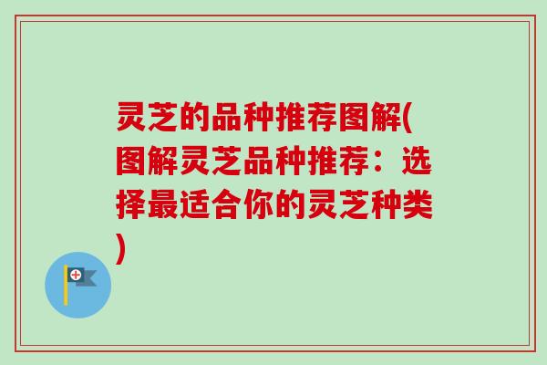 灵芝的品种推荐图解(图解灵芝品种推荐:选择最适合你的灵芝种类)-第1张图片-卓越灵芝孢子粉 灵芝的品种推荐图解(图解灵芝品种推荐:选择最适合你的灵芝种类)-第1张图片-卓越灵芝孢子粉