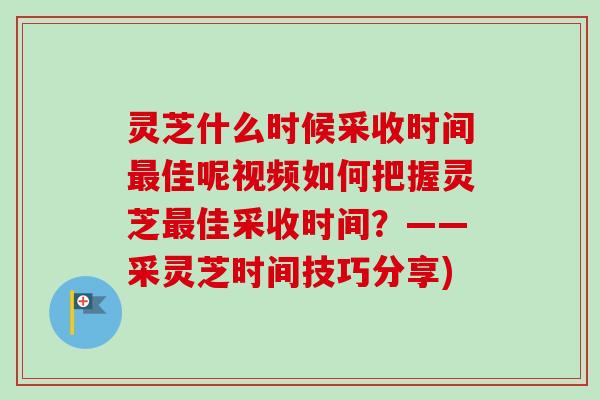 灵芝什么时候采收时间最佳呢视频如何把握灵芝最佳采收时间?——采灵芝时间技巧分享)-第1张图片-卓越灵芝孢子粉 灵芝什么时候采收时间最佳呢视频如何把握灵芝最佳采收时间?——采灵芝时间技巧分享)-第1张图片-卓越灵芝孢子粉