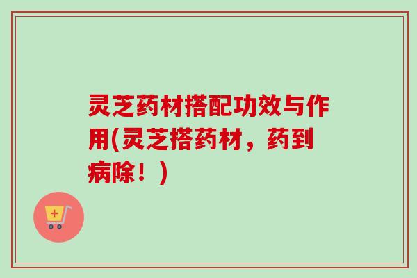 灵芝药材搭配功效与作用(灵芝搭药材，药到病除！)-第1张图片-卓越灵芝孢子粉