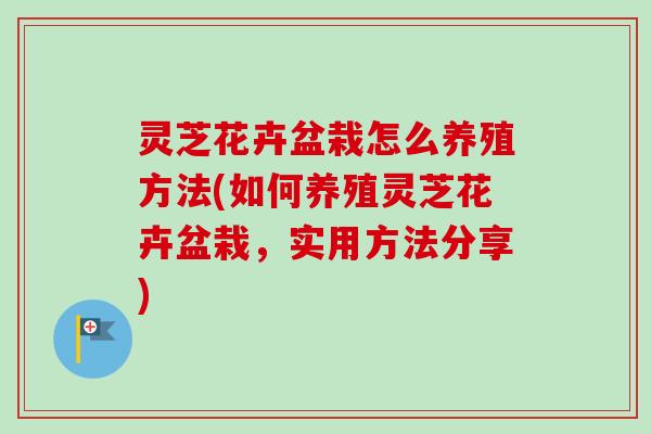 灵芝花卉盆栽怎么养殖方法(如何养殖灵芝花卉盆栽，实用方法分享)-第1张图片-卓越灵芝孢子粉