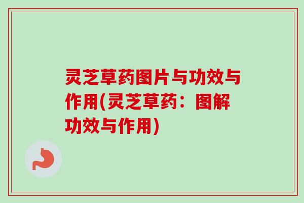 灵芝草药图片与功效与作用(灵芝草药：图解功效与作用)-第1张图片-卓越灵芝孢子粉