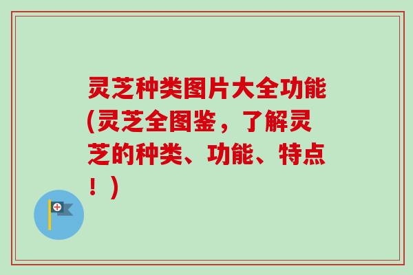 灵芝种类图片大全功能(灵芝全图鉴,了解灵芝的种类、功能、特点!)-第1张图片-卓越灵芝孢子粉 灵芝种类图片大全功能(灵芝全图鉴,了解灵芝的种类、功能、特点!)-第1张图片-卓越灵芝孢子粉