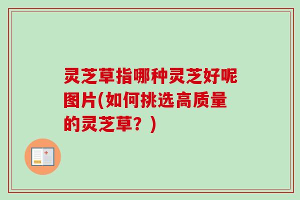 灵芝草指哪种灵芝好呢图片(如何挑选高质量的灵芝草?)-第1张图片-卓越灵芝孢子粉 灵芝草指哪种灵芝好呢图片(如何挑选高质量的灵芝草?)-第1张图片-卓越灵芝孢子粉
