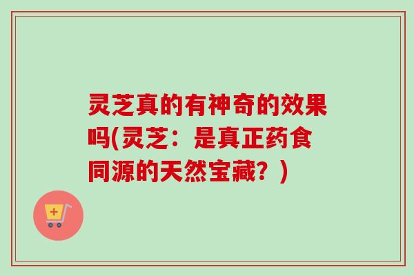 灵芝真的有神奇的效果吗(灵芝：是真正药食同源的天然宝藏？)-第1张图片-卓越灵芝孢子粉