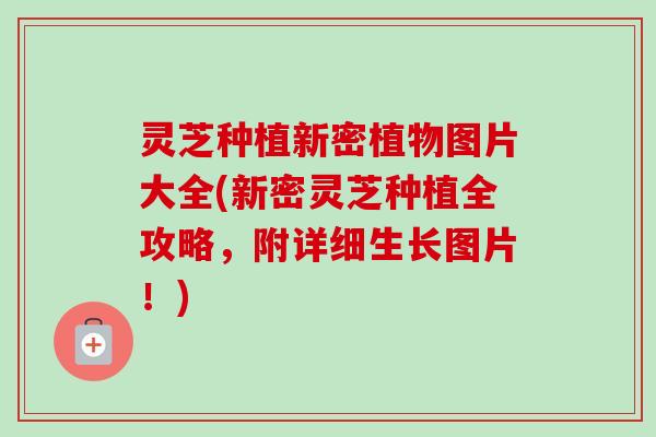 灵芝种植新密植物图片大全(新密灵芝种植全攻略,附详细生长图片!)-第1张图片-卓越灵芝孢子粉 灵芝种植新密植物图片大全(新密灵芝种植全攻略,附详细生长图片!)-第1张图片-卓越灵芝孢子粉